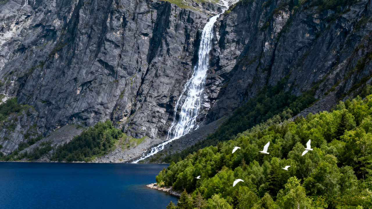 01星球首页轮播图3